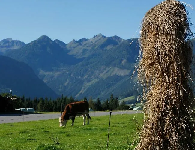 Landl Vorberg Hébergement de vacances Ramsau am Dachstein
