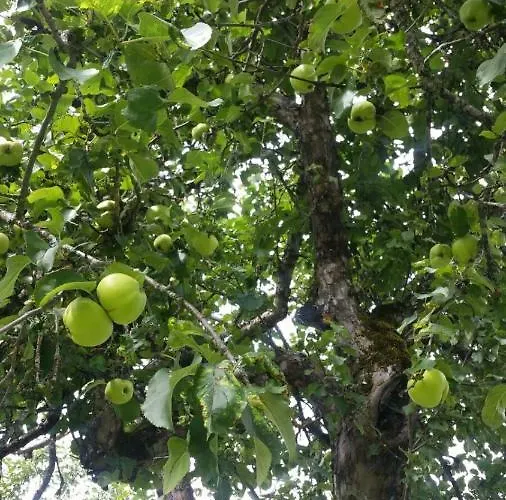 Landl Vorberg Hébergement de vacances Ramsau am Dachstein